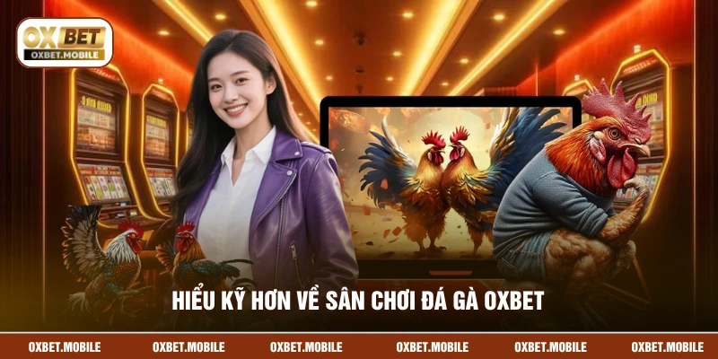 Hiểu kỹ hơn về sân chơi đá gà OXBET