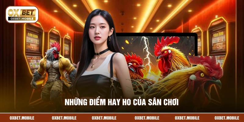 Những điểm hay ho của sân chơi